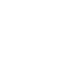 Brave Lives Matter