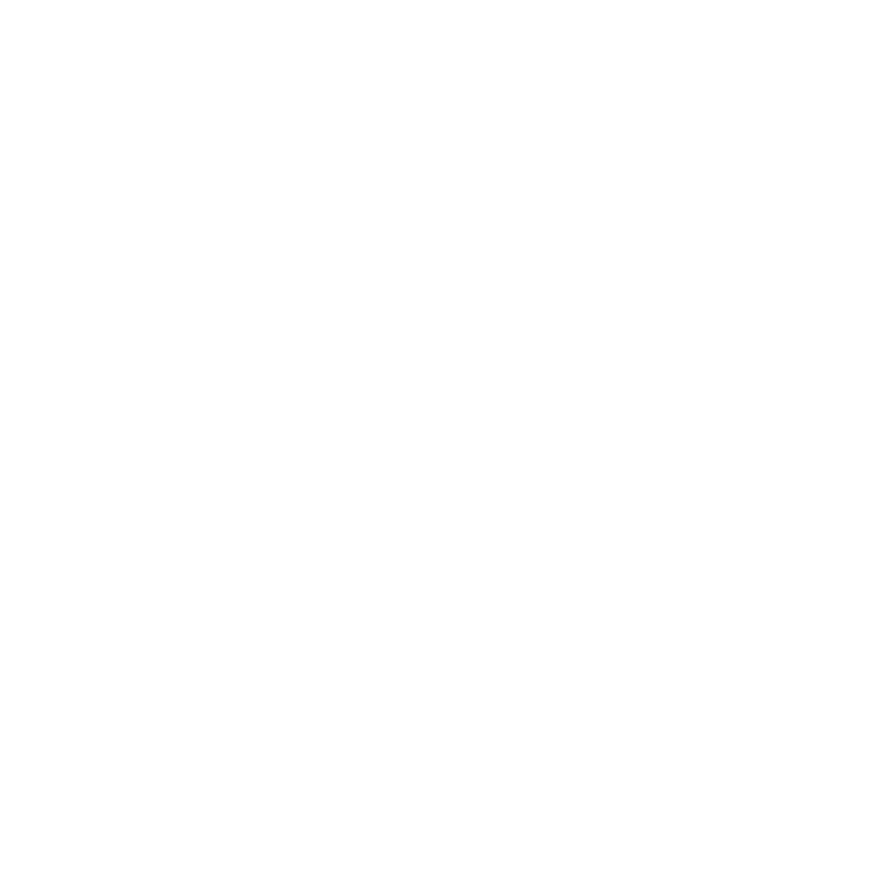 Brave Lives Matter